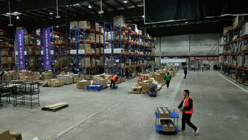 強信心 開新局 跨境電商加速跑，直擊上海港進出口商品中轉倉的技術進出口新篇