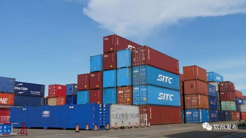 借力欽州港 柳州貨物進出口的物流新通道